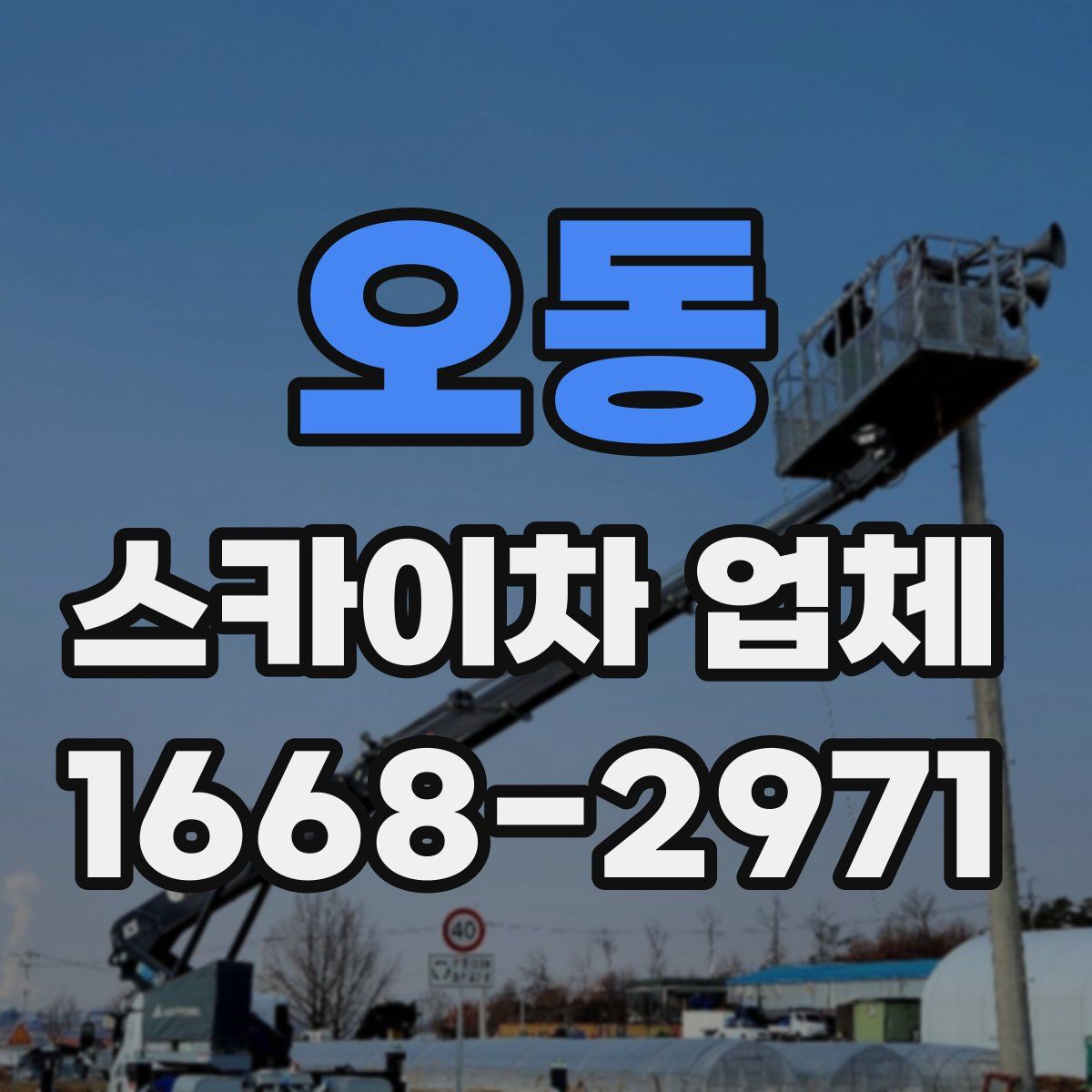 오동 스카이차 업체