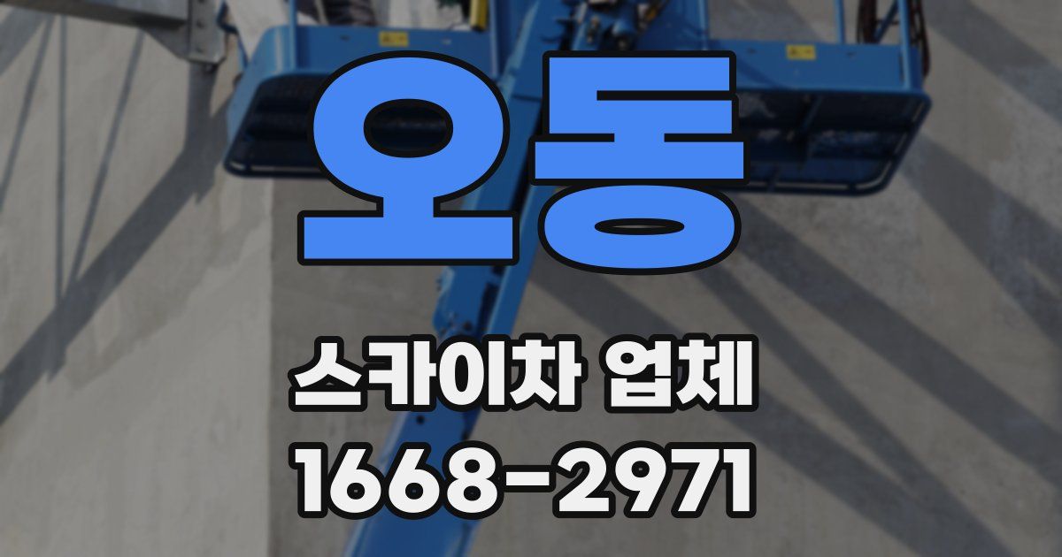 오동 스카이차 업체