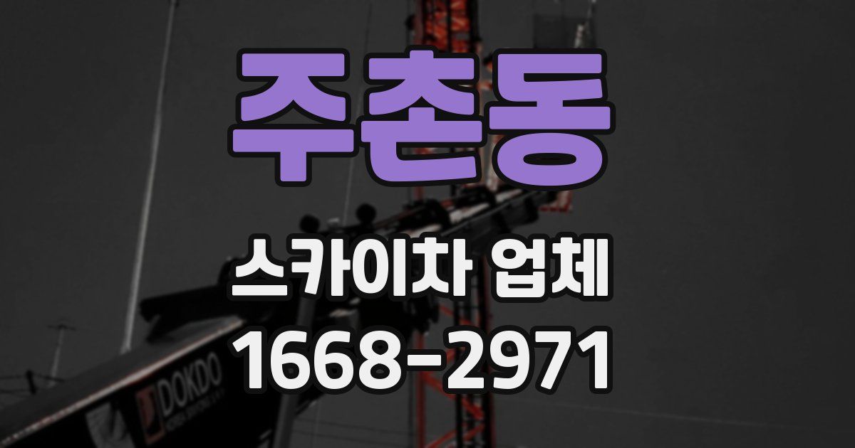 주촌동 스카이차 업체