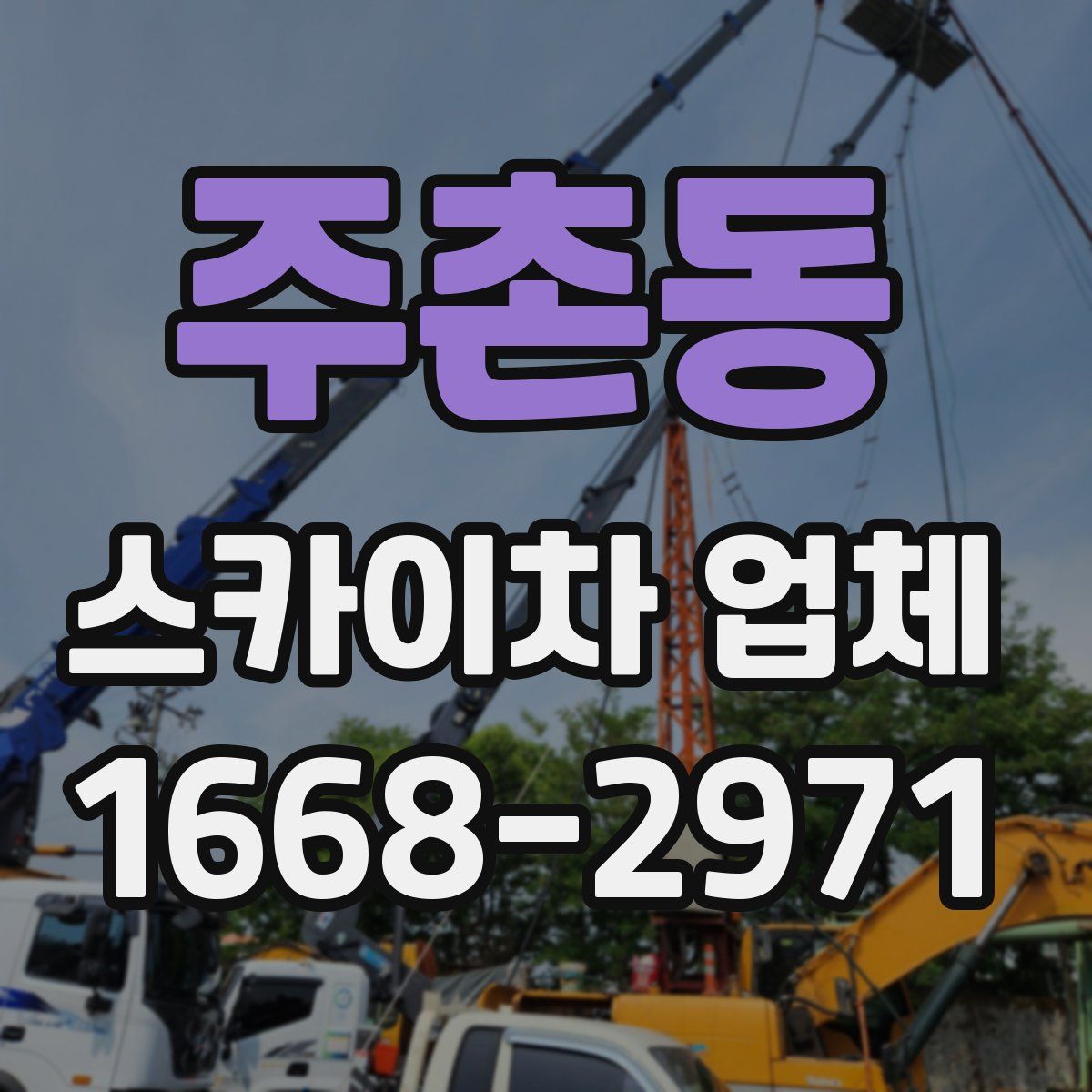 주촌동 스카이차 업체