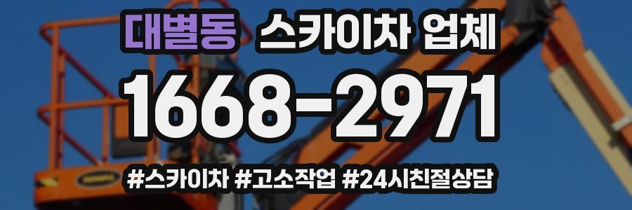 대별동 스카이차 업체