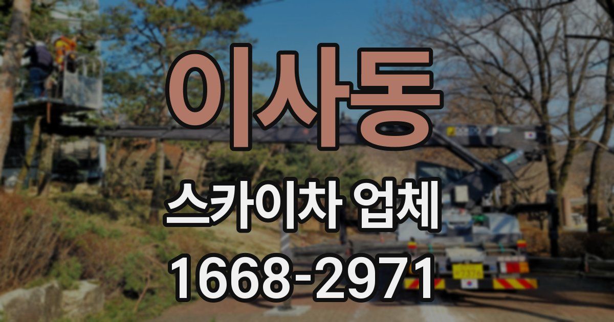 이사동 스카이차 업체