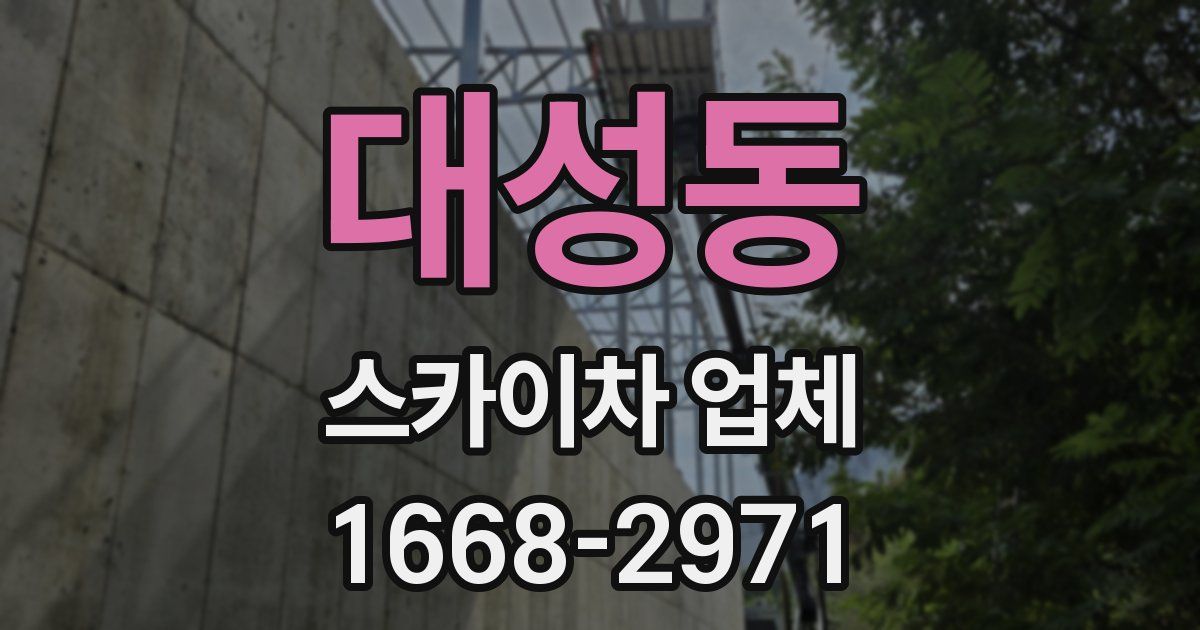 대성동 스카이차 업체