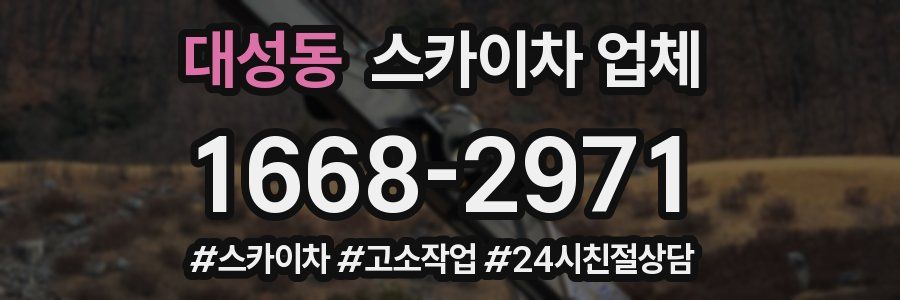 대성동 스카이차 업체
