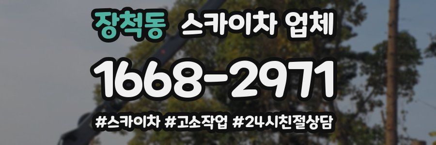 장척동 스카이차 업체