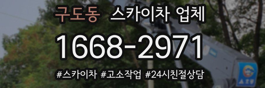 구도동 스카이차 업체