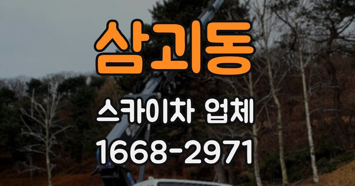 삼괴동 스카이차 업체