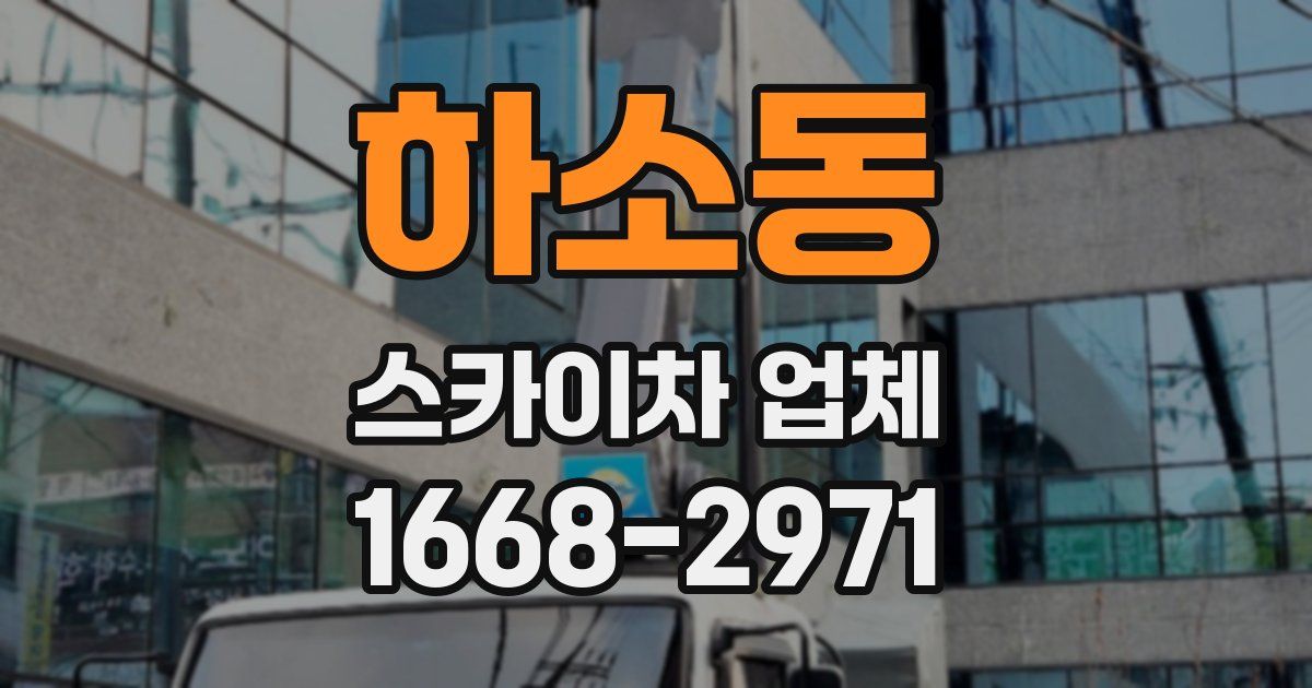 하소동 스카이차 업체