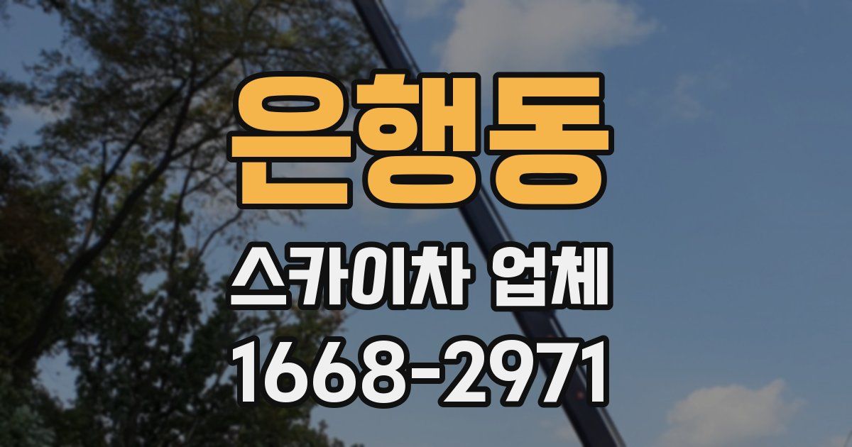 은행동 스카이차 업체