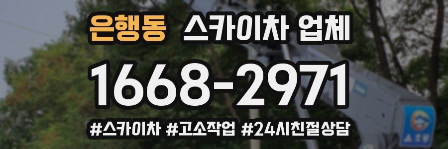 은행동 스카이차 업체
