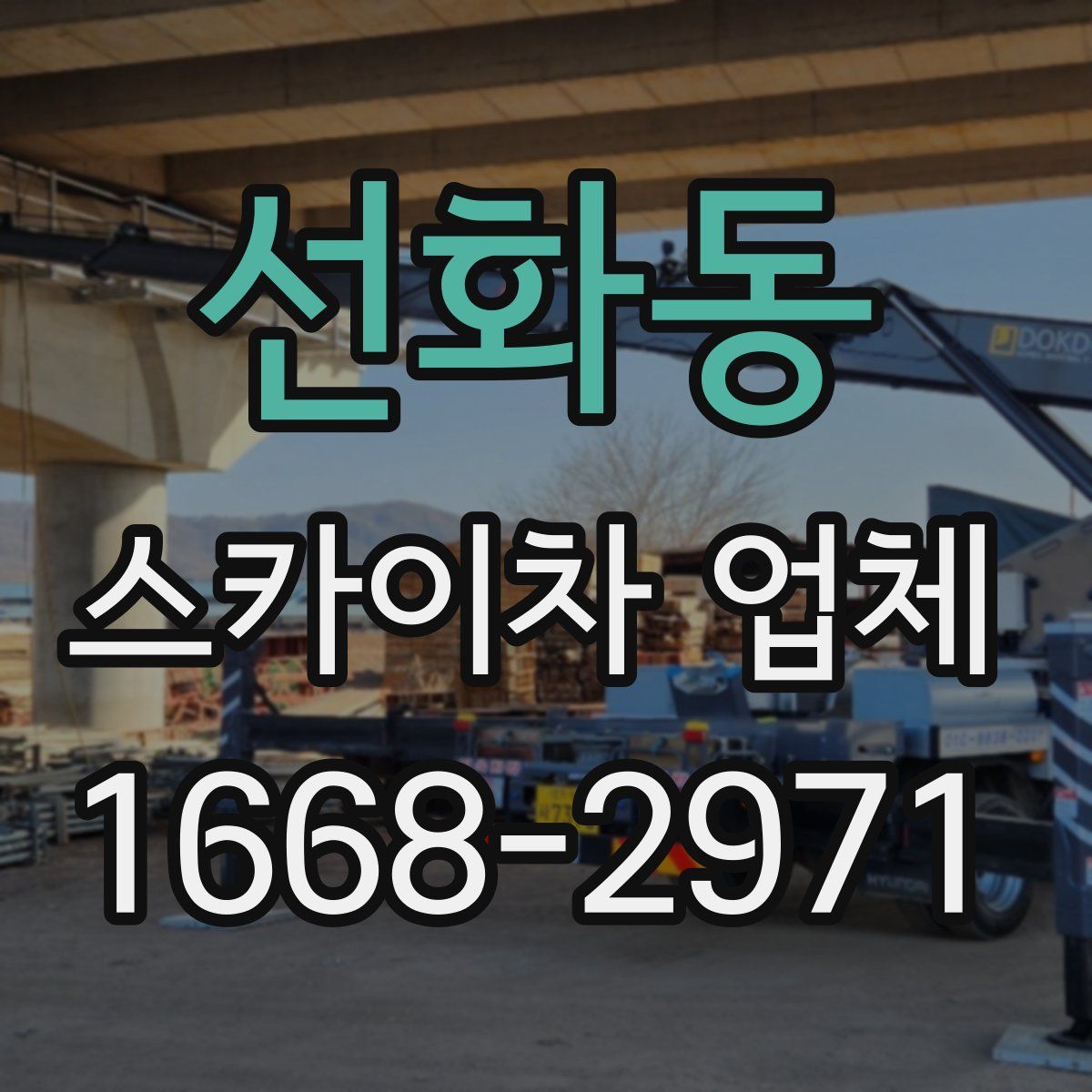선화동 스카이차 업체