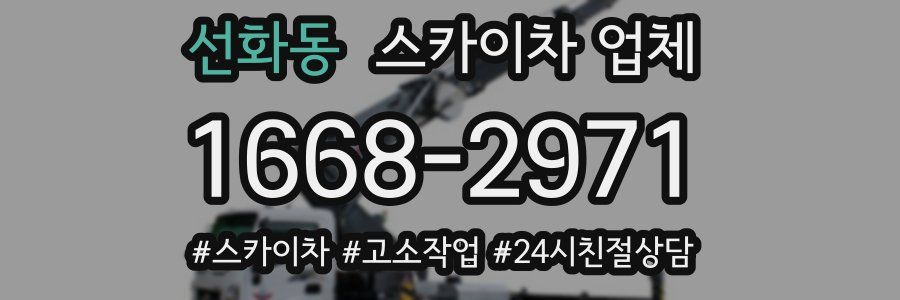 선화동 스카이차 업체