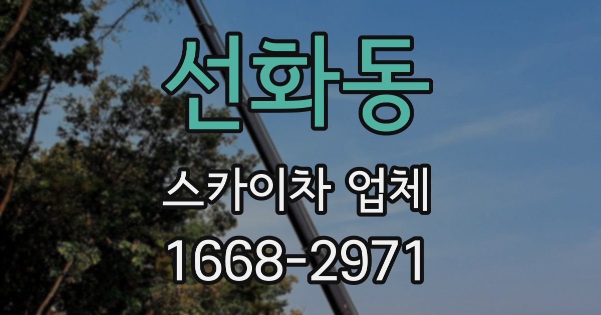 선화동 스카이차 업체