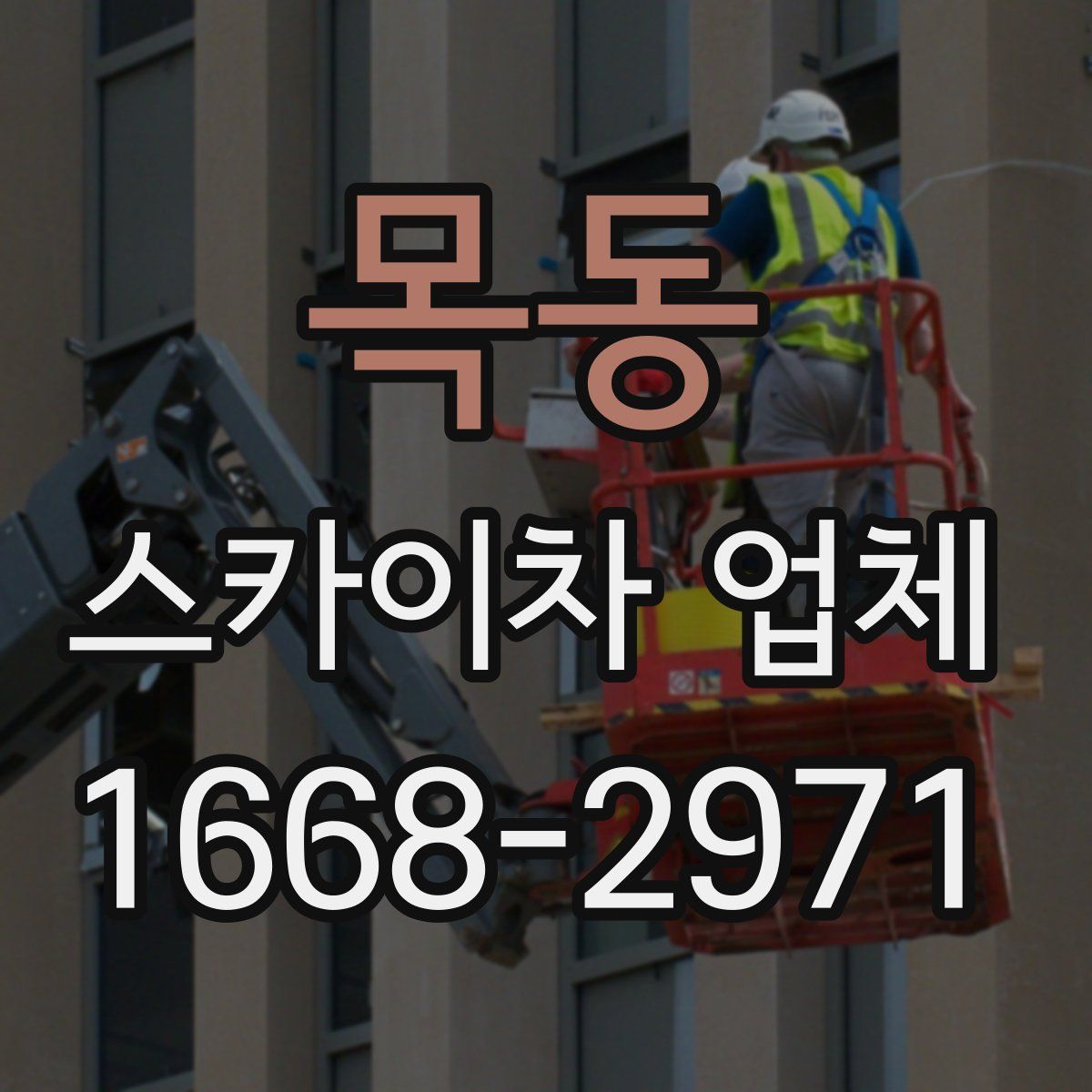 목동 스카이차 업체