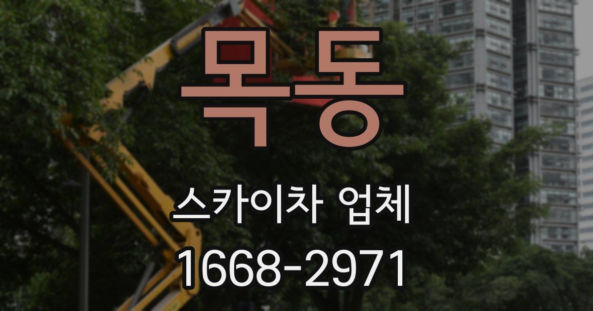 목동 스카이차 업체