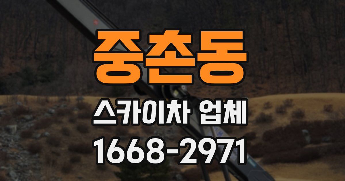 중촌동 스카이차 업체