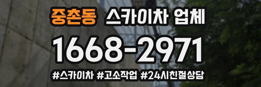 중촌동 스카이차 업체