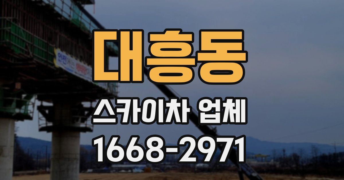 대흥동 스카이차 업체