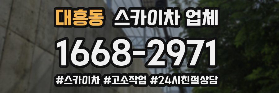 대흥동 스카이차 업체