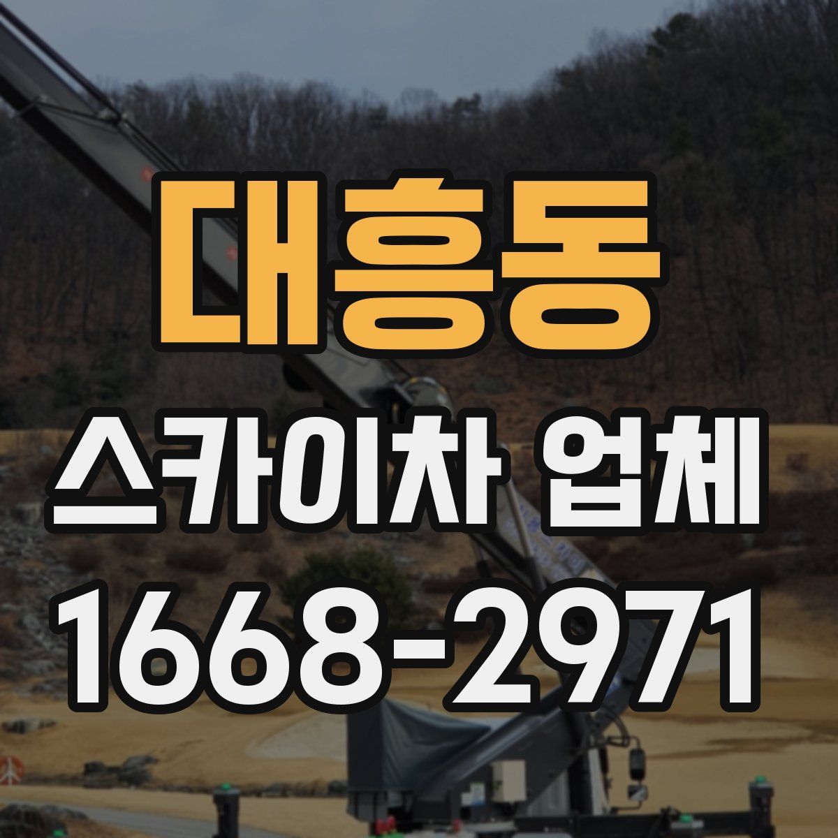 대흥동 스카이차 업체