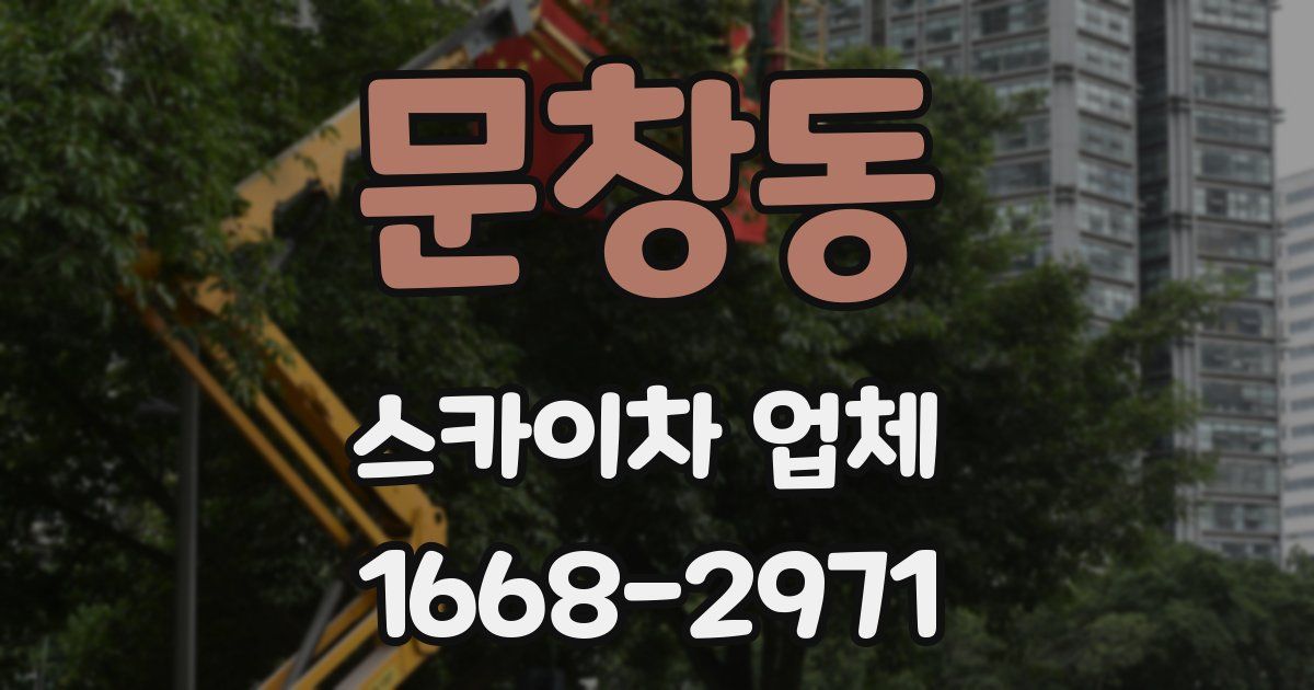 문창동 스카이차 업체