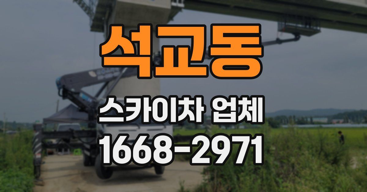 석교동 스카이차 업체