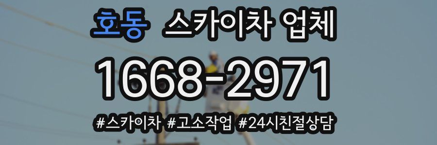호동 스카이차 업체