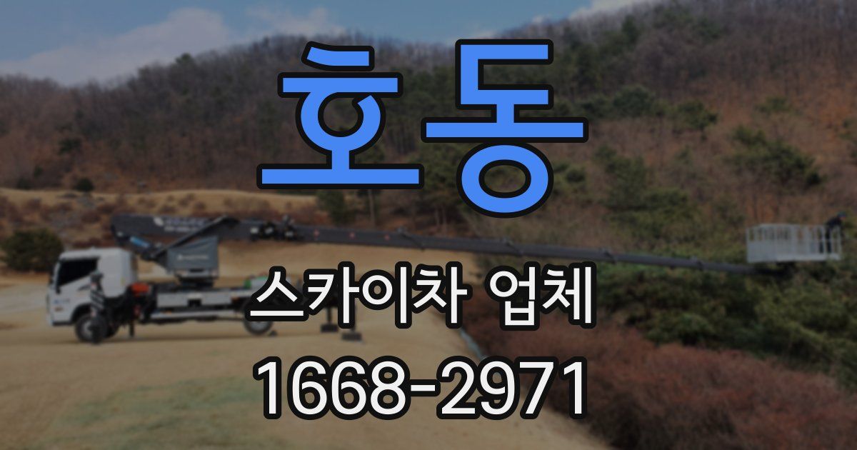 호동 스카이차 업체