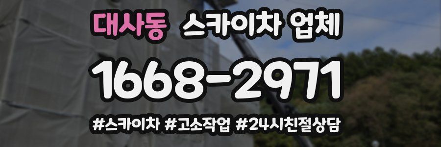 대사동 스카이차 업체