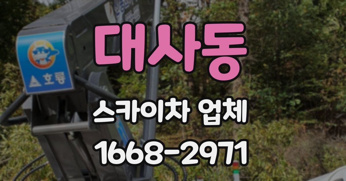 대사동 스카이차 업체