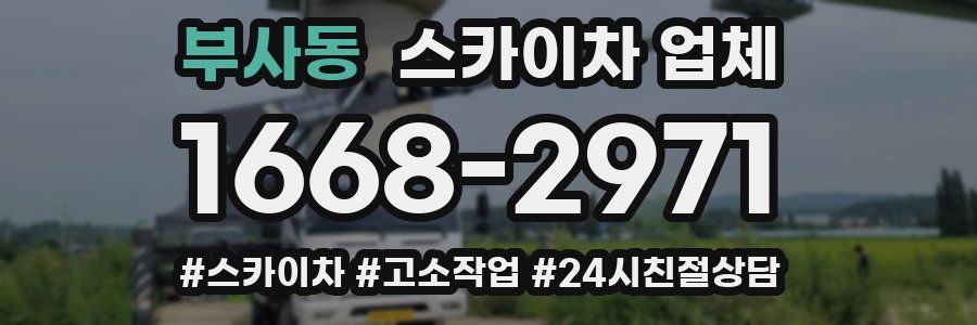 부사동 스카이차 업체