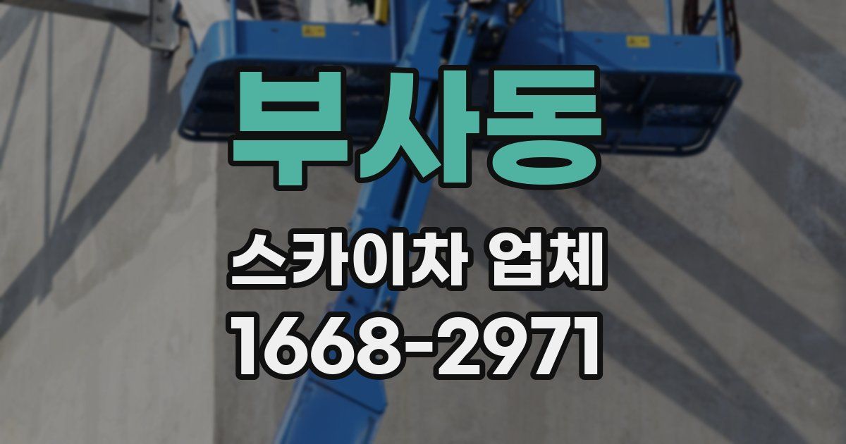 부사동 스카이차 업체
