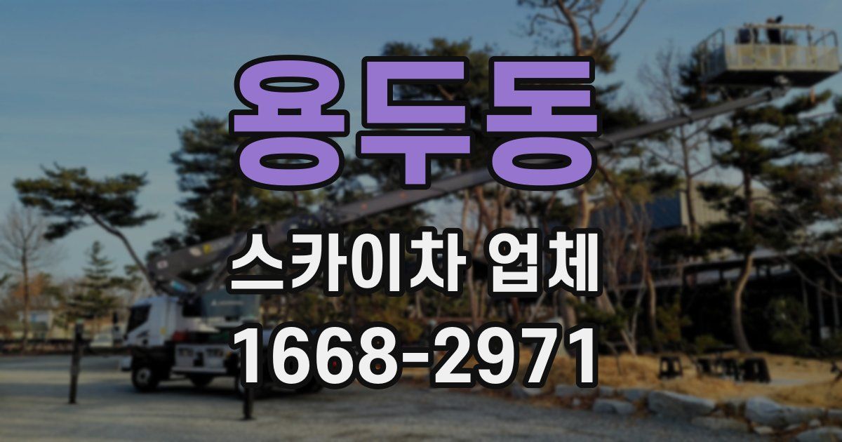 용두동 스카이차 업체