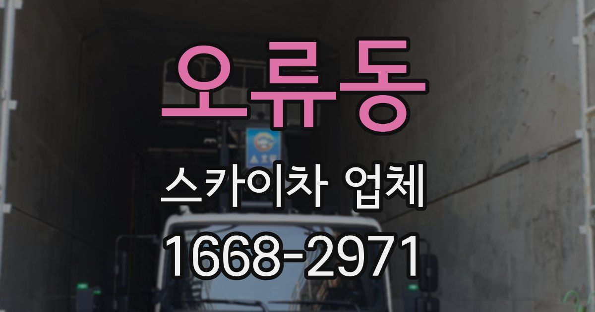 오류동 스카이차 업체