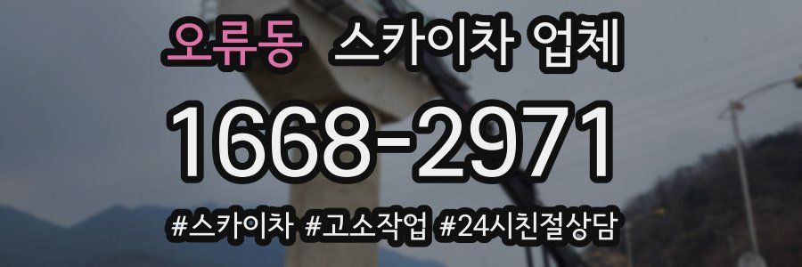 오류동 스카이차 업체