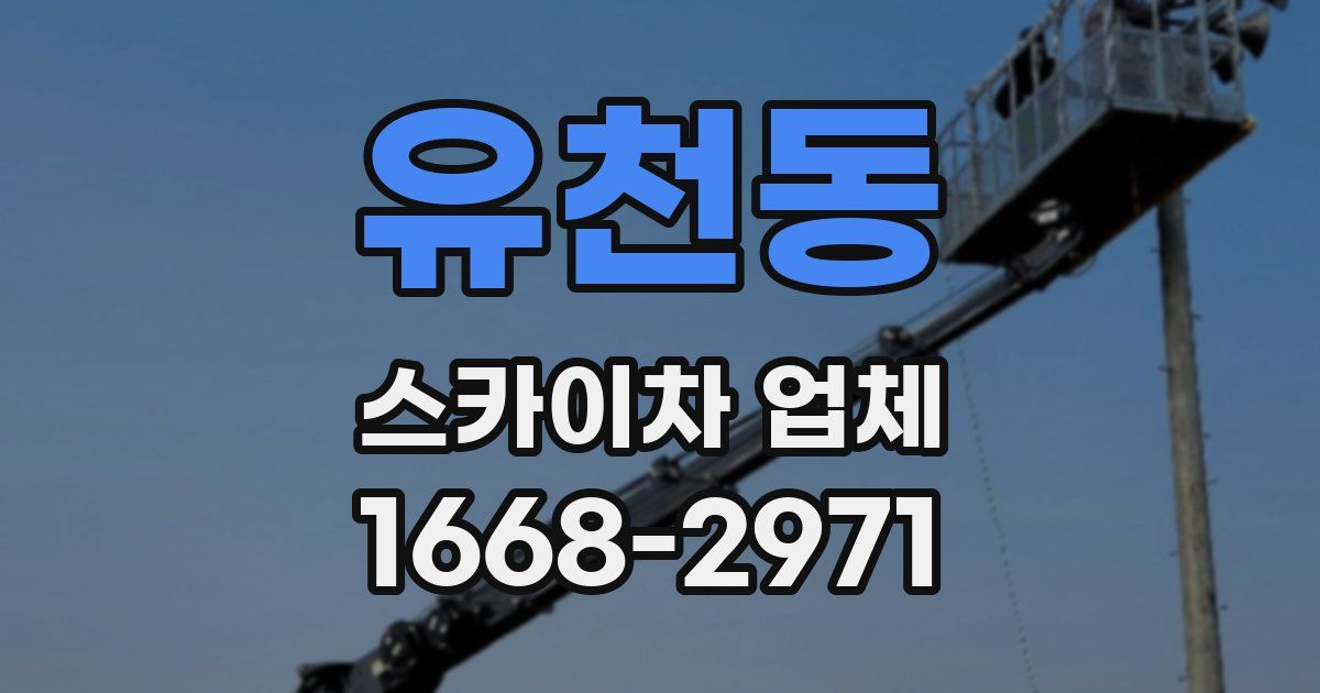 유천동 스카이차 업체