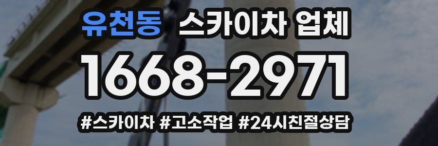 유천동 스카이차 업체