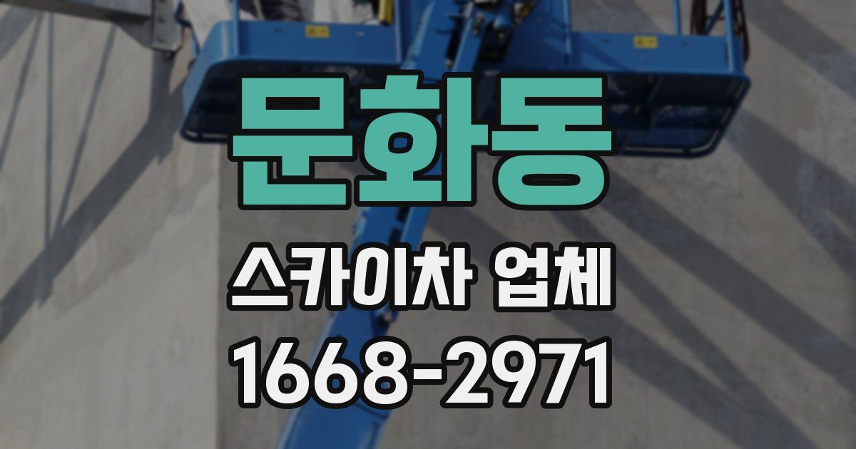 문화동 스카이차 업체