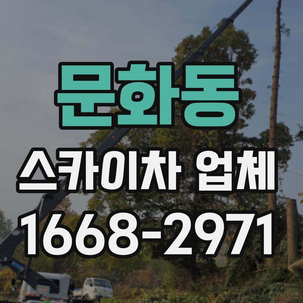 문화동 스카이차 업체