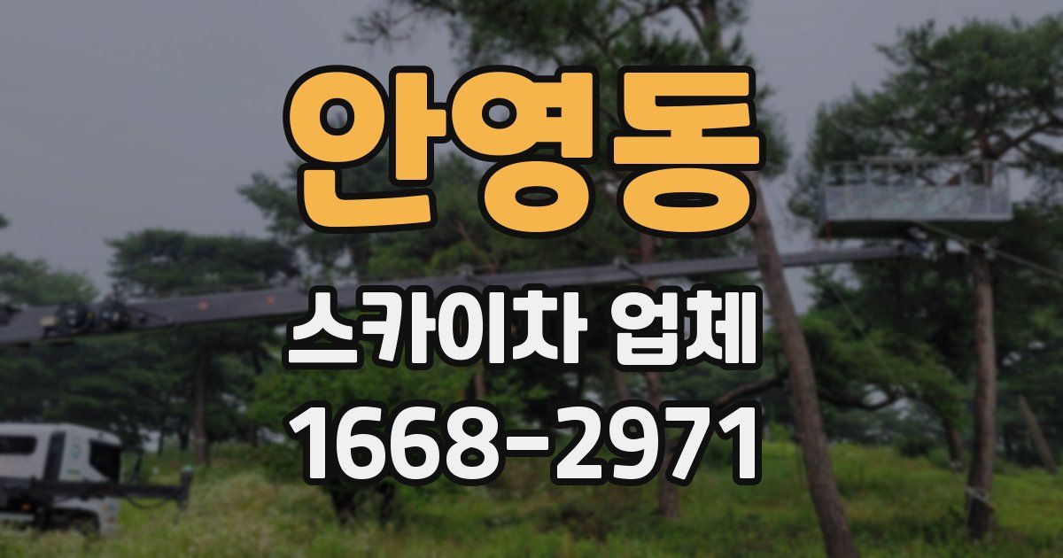 안영동 스카이차 업체