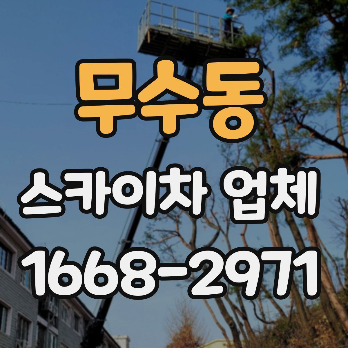 무수동 스카이차 업체