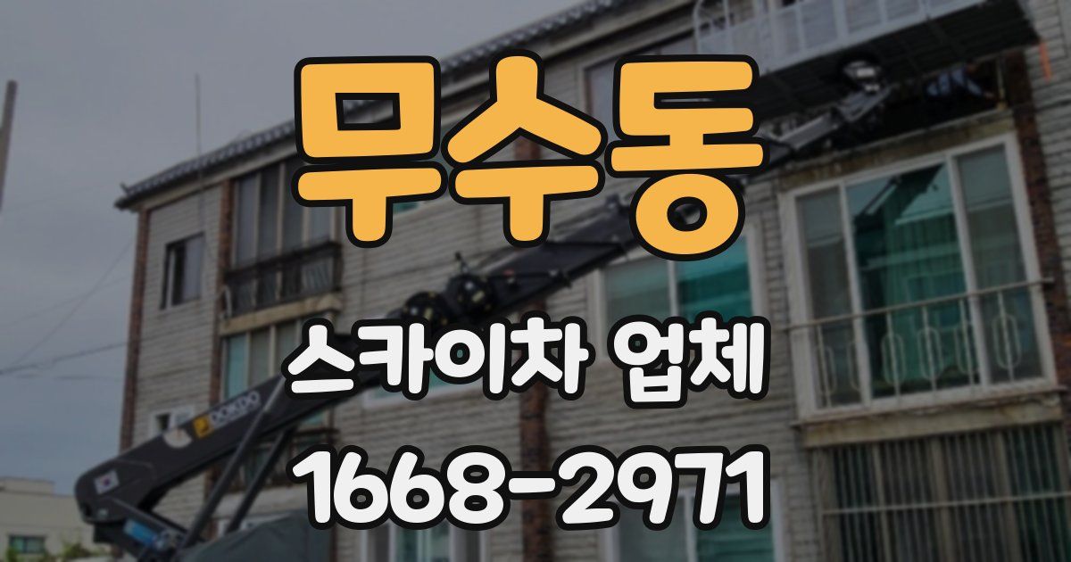 무수동 스카이차 업체