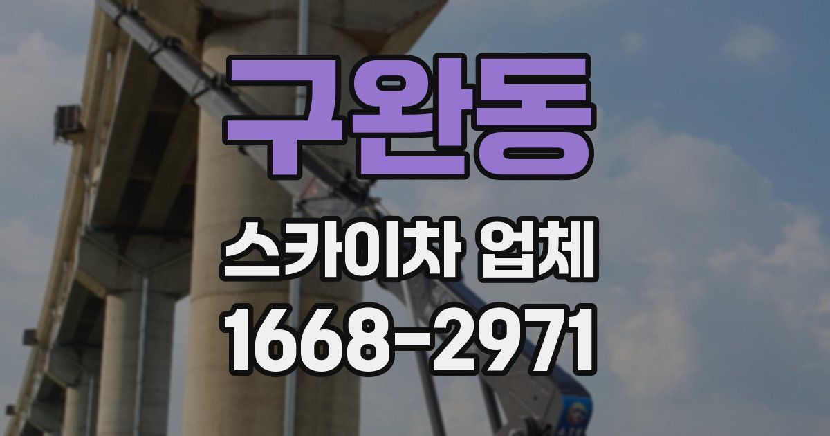 구완동 스카이차 업체