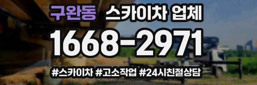 구완동 스카이차 업체