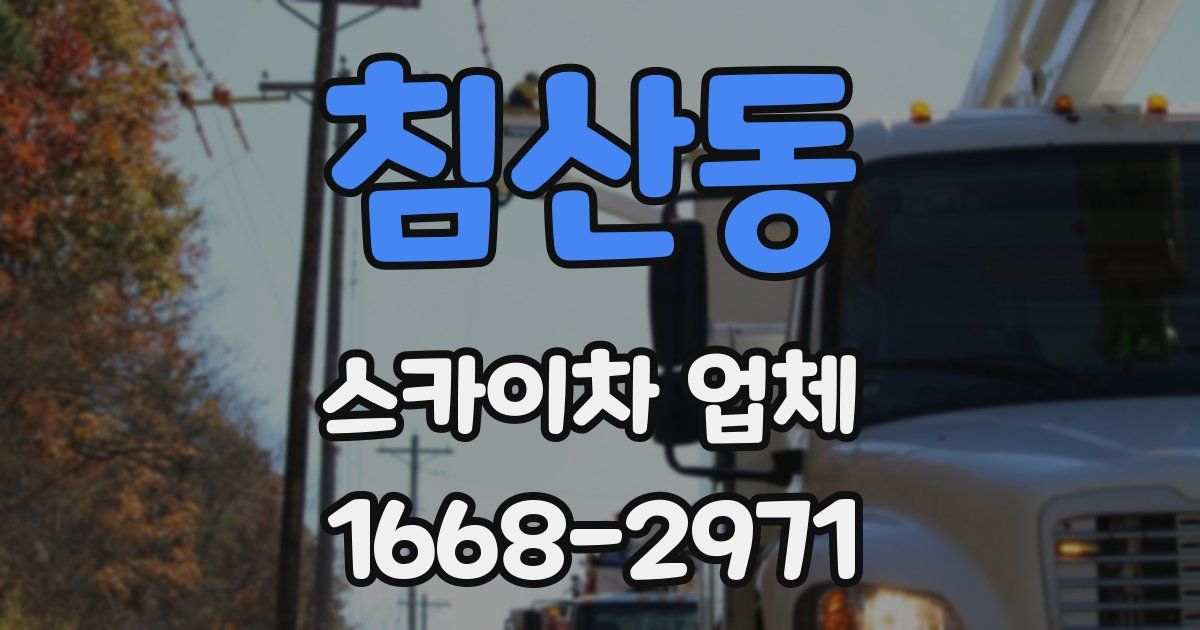 침산동 스카이차 업체