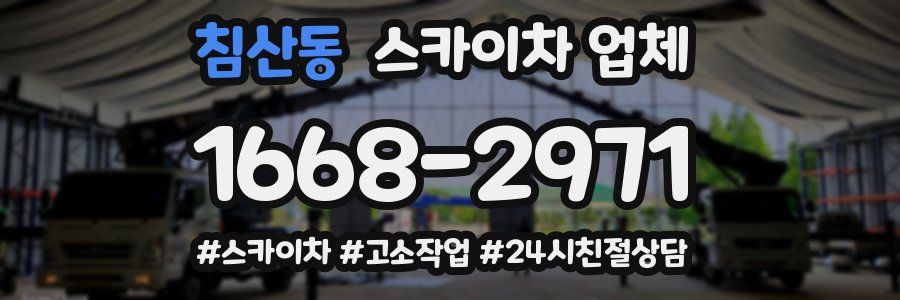 침산동 스카이차 업체