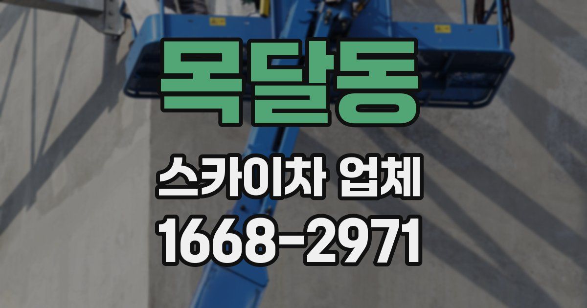 목달동 스카이차 업체