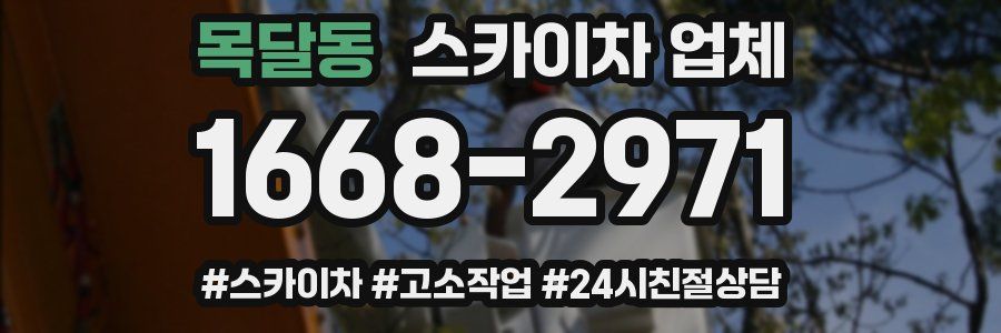 목달동 스카이차 업체