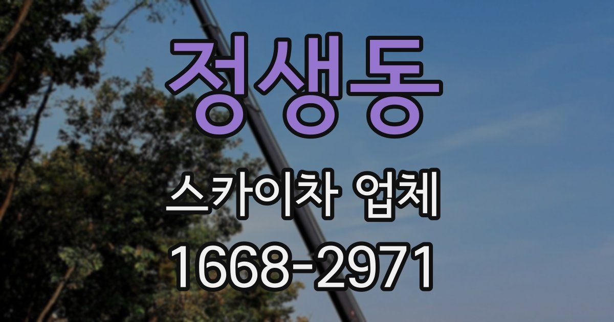 정생동 스카이차 업체