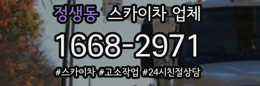정생동 스카이차 업체